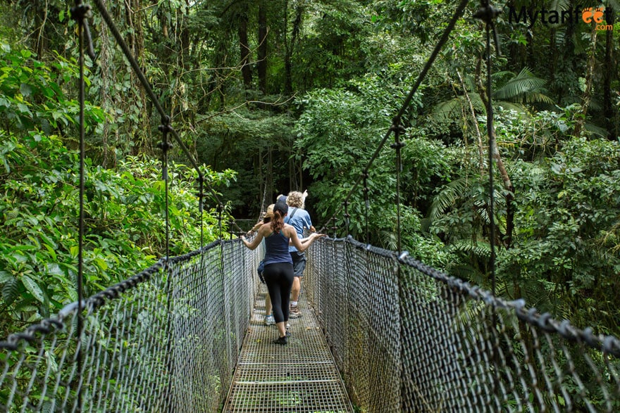 Hanging Bridges & Sloth Tour